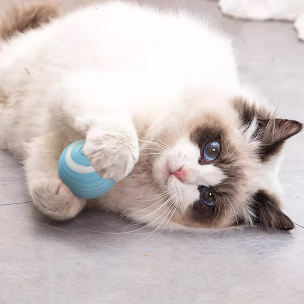 Electric Cat Ball Toy