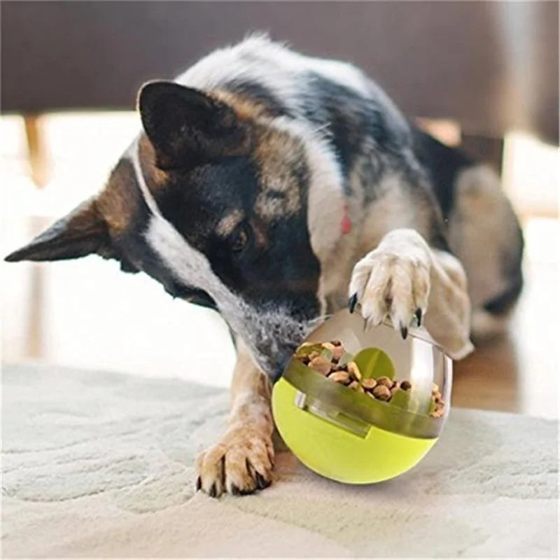 Interactive Pet IQ Treat Ball Toy